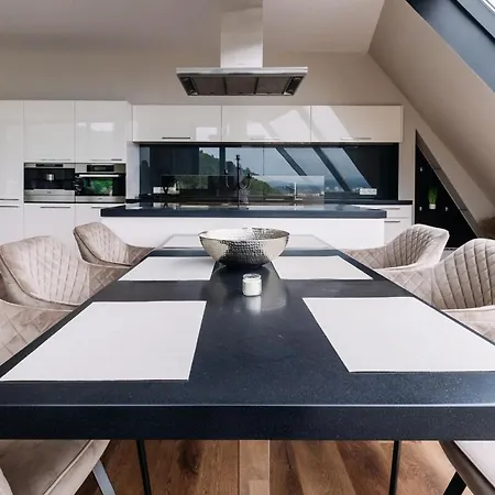 公寓 Unique Penthouse With Terrace And Exceptional View 卡罗维发利