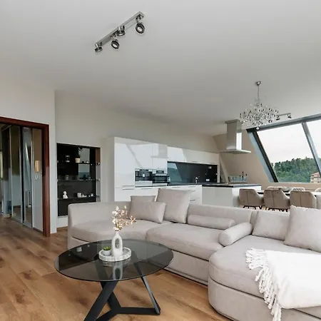 Unique Penthouse With Terrace And Exceptional View 卡罗维发利